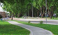 Archivo:Alameda Curico 2012