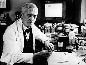 Archivo:Alexander Fleming