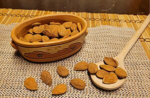 Archivo:Almendras (almonds)