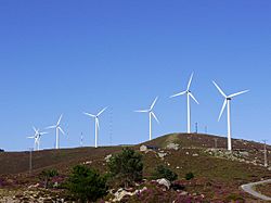 Penouta (Boal) para Niños