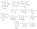BIOSÍNTESIS DE EUMELANINAS