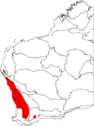 Archivo:Banksia prionotes map