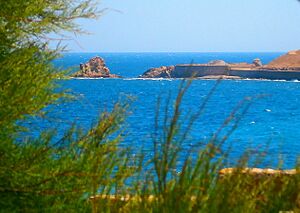Archivo:Batería de Santa Catalina