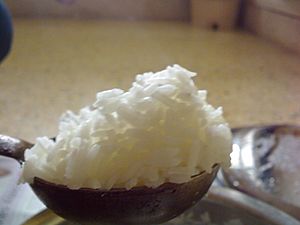 Archivo:Boiled White rice