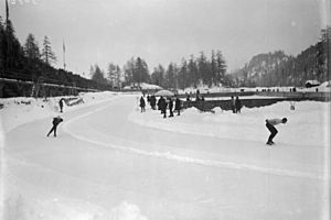 Archivo:Bundesarchiv Bild 102-05456, St. Moritz, Winterolympiade