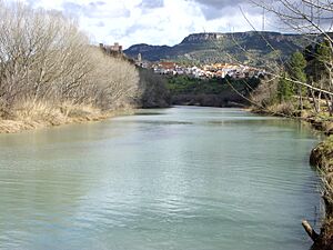 Archivo:Cabriel Cofrentes