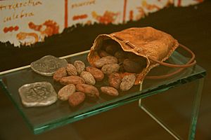 Archivo:Cacao-moneda