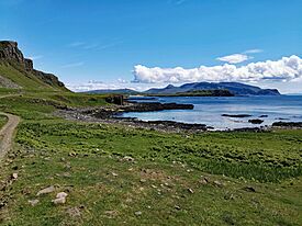 Canna (Canaigh) 18.jpg