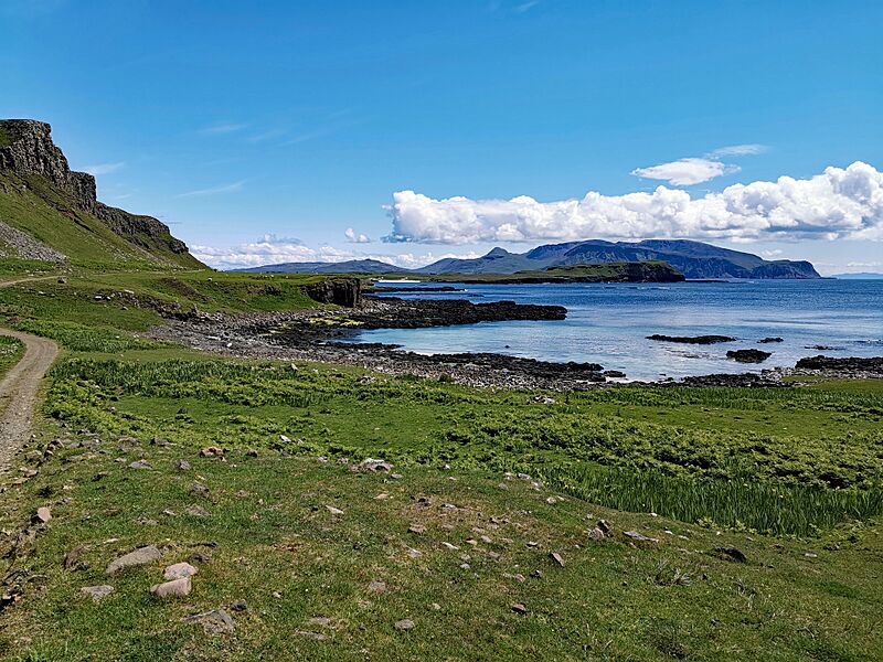 Canna (Canaigh) 18