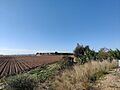 Cerro Macareno - IMG 20241208 121911