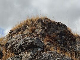 Archivo:Cortijo Castillo del Peñón 24J 07