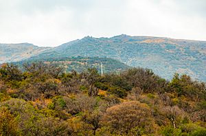 Archivo:Cruz Blanca de vigilancia. Matanza lo cañas 1891