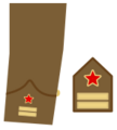 Ejerpopulardivi2