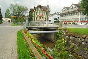 Archivo:Enziwiger en Hergiswil che Willisau 328