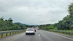 Expreso PR-2, Yauco, Puerto Rico (1).jpg