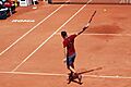 Fed eagle (2) (26974528161)