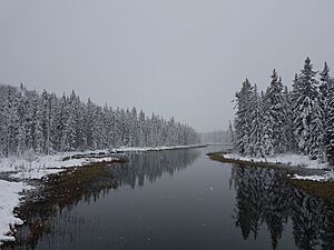 Archivo:First Snow Waskesiu