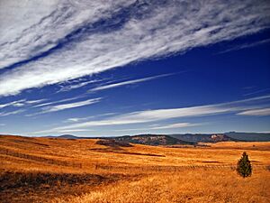 Archivo:Flickr - Nicholas T - Skewed