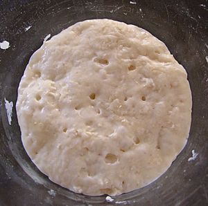 Archivo:Foccacia pugliese - Biga