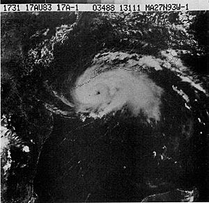 Archivo:Hurricane Alicia (1983)