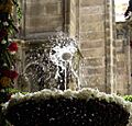 L'ou com balla (Claustre de la Catedral-Barcelona)