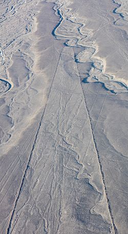 Líneas de Nazca, Nazca, Perú, 2015-07-29, DD 40.JPG