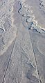 Líneas de Nazca, Nazca, Perú, 2015-07-29, DD 40