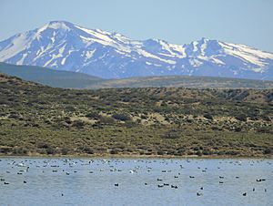 Archivo:Laguna La Solitaria