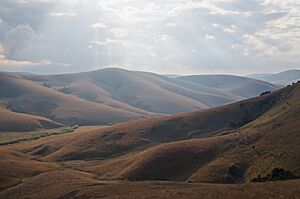 Archivo:Nyika Plateau II (14874700438)