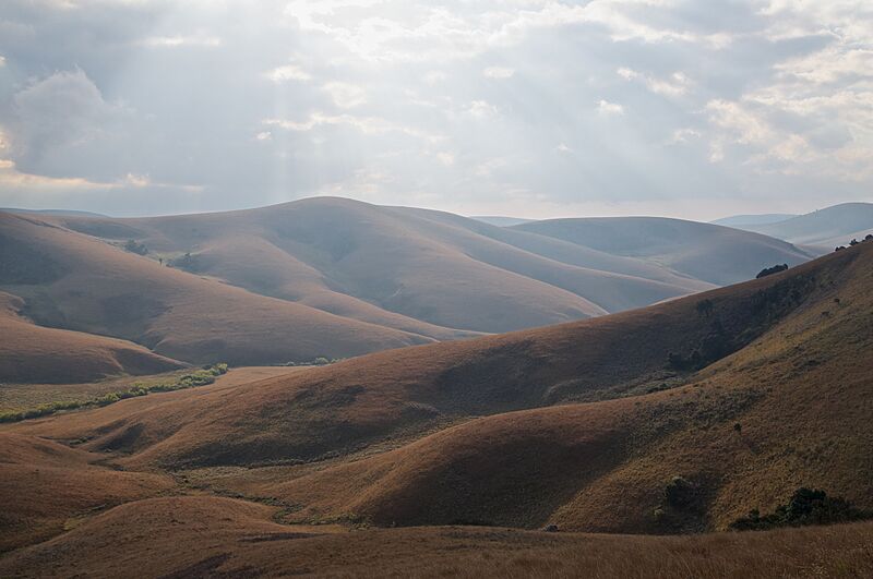 Nyika Plateau II (14874700438)