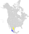 Oreothlypis crissalis map