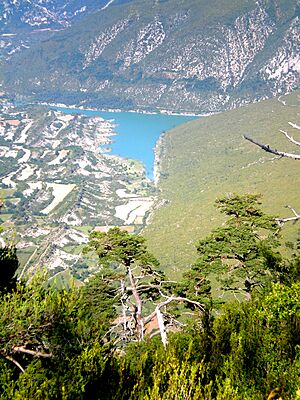 Archivo:Pantano de belsue - panoramio