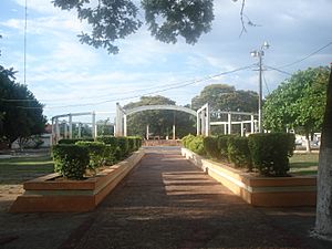Archivo:Paseo central de la Plaza en MRA