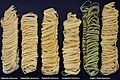 Pasta 2006 6