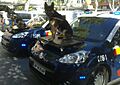 Perro policia palencia 2014