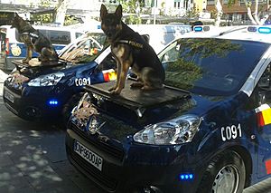 Archivo:Perro policia palencia 2014