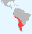 Phoenicopterus chilensis map