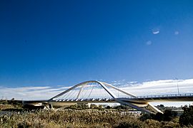 Puente Nelson Mandela (El Prat de Llobregat). Vista 2