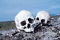 Punuk.Alaska.skulls
