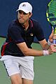 Querrey US16 (43) (29569446900)