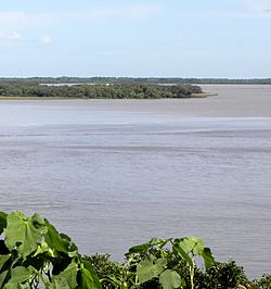 Río Paraná Bravo desembocando en el río Uruguay.JPG
