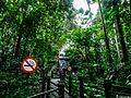 Rain Forest in KLIA