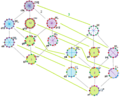Regular dodecagon symmetries4