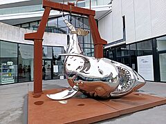 Requin de Philippe Pasqua - 1