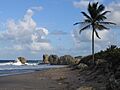 Saint Joseph, Barbados 005