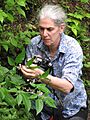 Sandy Knapp collecting Solanum sinuatiexcisum - TS 2012