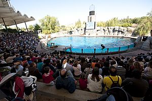 Archivo:Teatro lago faunia