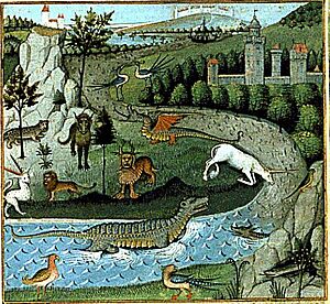 Archivo:The wonderful fauna of the East (BnF Fr. 22971)