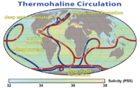 Archivo:Thermohaline Circulation 2