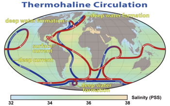 Archivo:Thermohaline Circulation 2